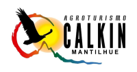 Calkin